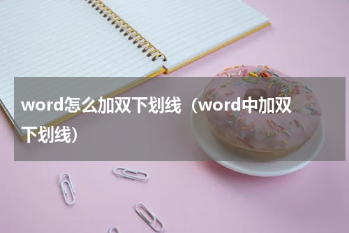 word怎么加双下划线（word中加双下划线）