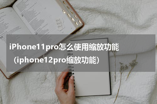 iPhone11pro怎么使用缩放功能（iphone12pro缩放功能）