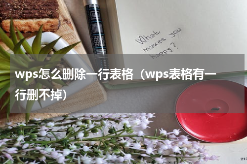 wps怎么删除一行表格（wps表格有一行删不掉）