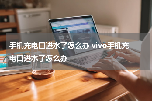 手机充电口进水了怎么办 vivo手机充电口进水了怎么办