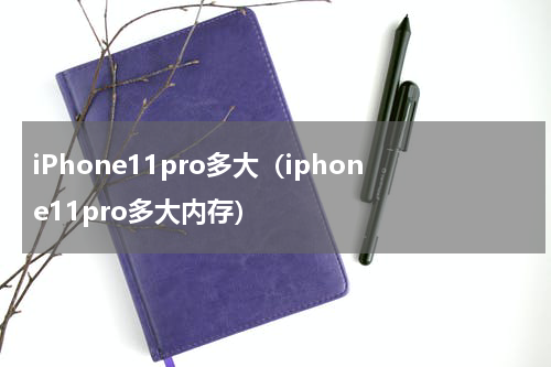 iPhone11pro多大（iphone11pro多大内存）