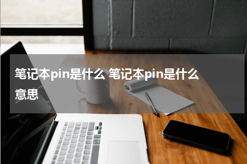 笔记本pin是什么 笔记本pin是什么意思