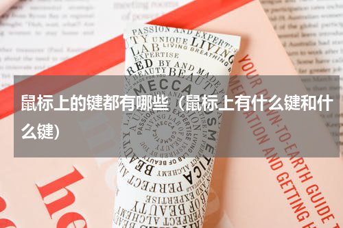 鼠标上的键都有哪些（鼠标上有什么键和什么键）