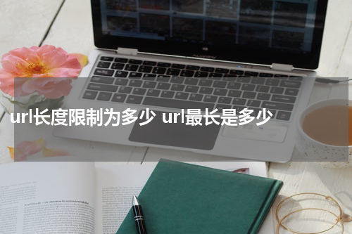 url长度限制为多少 url最长是多少