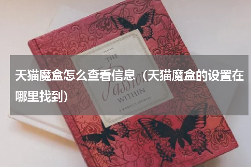 天猫魔盒怎么查看信息（天猫魔盒的设置在哪里找到）