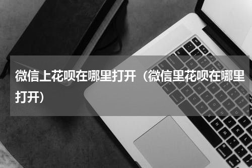 微信上花呗在哪里打开（微信里花呗在哪里打开）