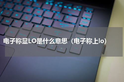 电子称显LO是什么意思（电子称上lo）