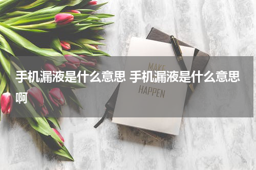 手机漏液是什么意思 手机漏液是什么意思啊