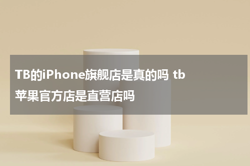 TB的iPhone旗舰店是真的吗 tb苹果官方店是直营店吗