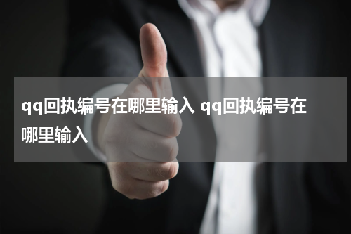 qq回执编号在哪里输入 qq回执编号在哪里输入