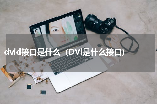 dvid接口是什么（DVi是什么接口）