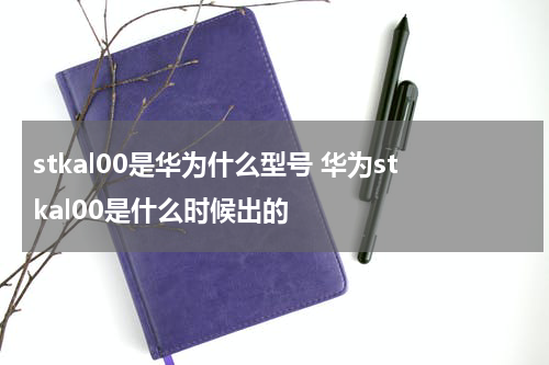 stkal00是华为什么型号 华为stkal00是什么时候出的