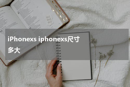 iPhonexs iphonexs尺寸多大