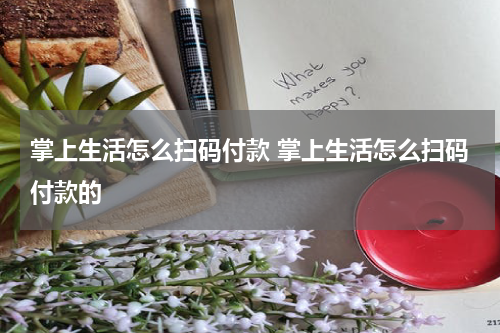 掌上生活怎么扫码付款 掌上生活怎么扫码付款的