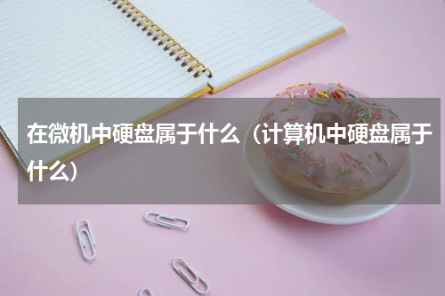 在微机中硬盘属于什么（计算机中硬盘属于什么）
