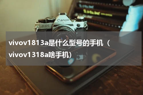 vivov1813a是什么型号的手机（vivov1318a啥手机）