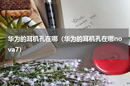 华为的耳机孔在哪（华为的耳机孔在哪nova7）