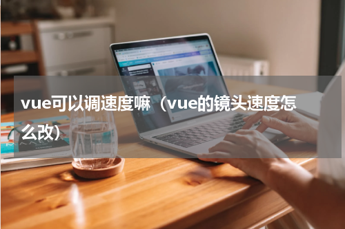 vue可以调速度嘛（vue的镜头速度怎么改）