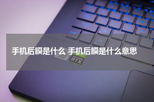 手机后膜是什么 手机后膜是什么意思