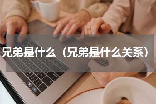 兄弟是什么（兄弟是什么关系）