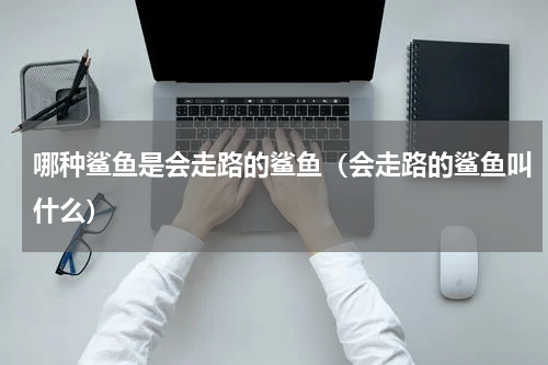哪种鲨鱼是会走路的鲨鱼（会走路的鲨鱼叫什么）