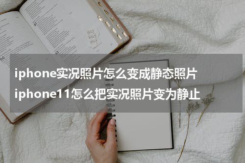 iphone实况照片怎么变成静态照片 iphone11怎么把实况照片变为静止