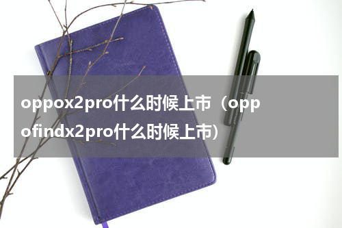 oppox2pro什么时候上市（oppofindx2pro什么时候上市）