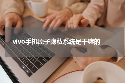 vivo手机原子隐私系统是干嘛的