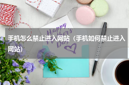 手机怎么禁止进入网站（手机如何禁止进入网站）