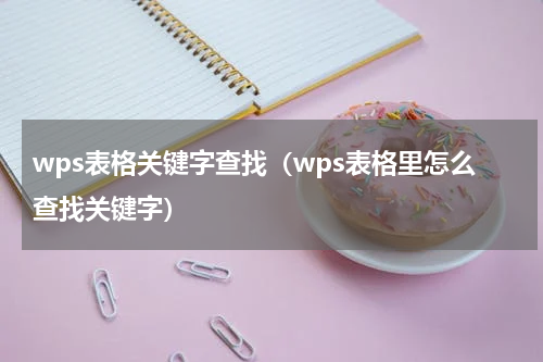 wps表格关键字查找（wps表格里怎么查找关键字）