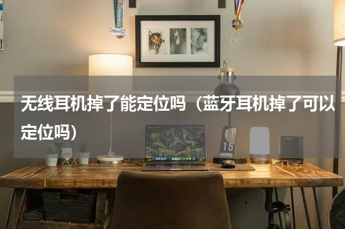 无线耳机掉了能定位吗（蓝牙耳机掉了可以定位吗）