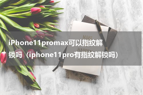 iPhone11promax可以指纹解锁吗（iphone11pro有指纹解锁吗）