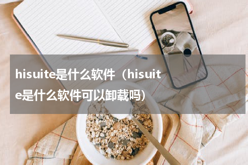 hisuite是什么软件（hisuite是什么软件可以卸载吗）