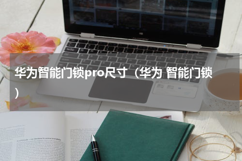 华为智能门锁pro尺寸（华为 智能门锁）