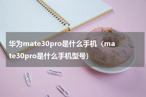 华为mate30pro是什么手机（mate30pro是什么手机型号）
