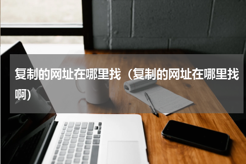复制的网址在哪里找（复制的网址在哪里找啊）