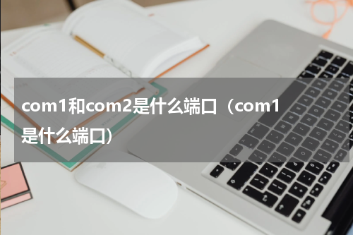 com1和com2是什么端口（com1是什么端口）