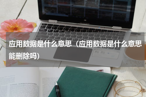 应用数据是什么意思（应用数据是什么意思能删除吗）