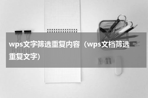 wps文字筛选重复内容（wps文档筛选重复文字）