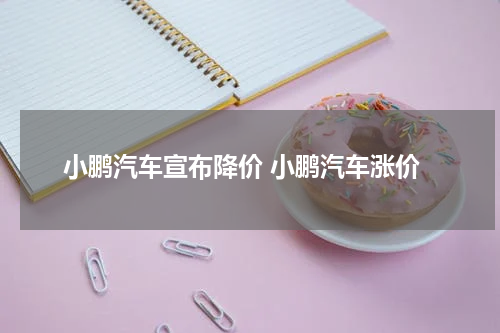 小鹏汽车宣布降价 小鹏汽车涨价