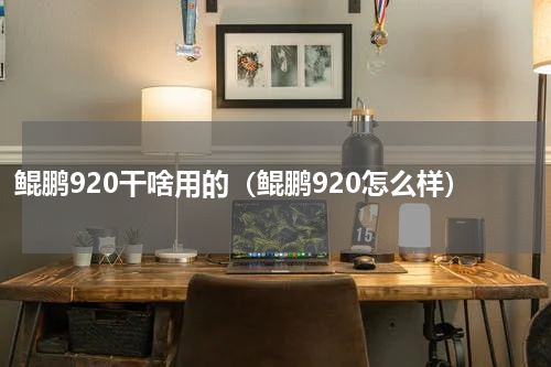 鲲鹏920干啥用的（鲲鹏920怎么样）