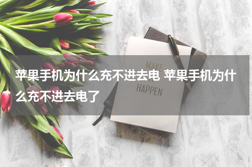 苹果手机为什么充不进去电 苹果手机为什么充不进去电了