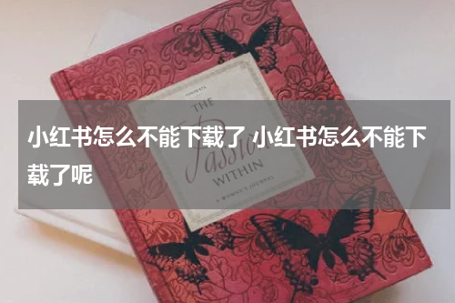 小红书怎么不能下载了 小红书怎么不能下载了呢