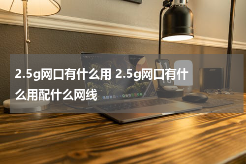 2.5g网口有什么用 2.5g网口有什么用配什么网线