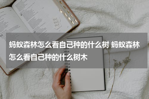 蚂蚁森林怎么看自己种的什么树 蚂蚁森林怎么看自己种的什么树木