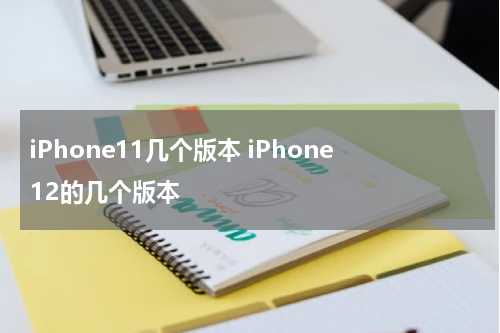 iPhone11几个版本 iPhone12的几个版本