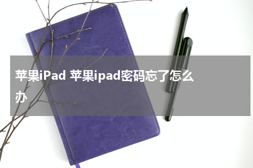 苹果iPad 苹果ipad密码忘了怎么办