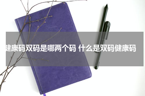 健康码双码是哪两个码 什么是双码健康码