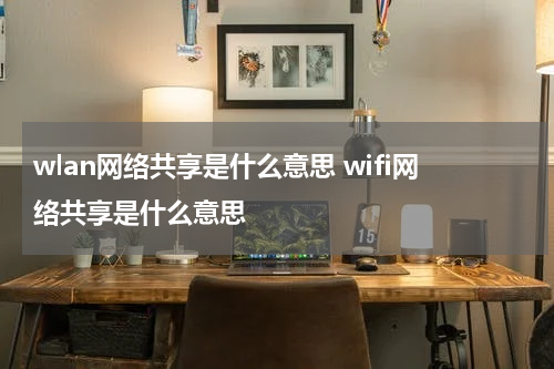 wlan网络共享是什么意思 wifi网络共享是什么意思
