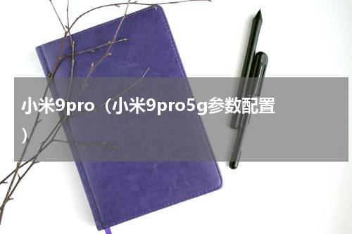 小米9pro（小米9pro5g参数配置）